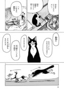「猫の又三郎」より。