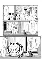 「ネコ先輩さすがです！」より。
