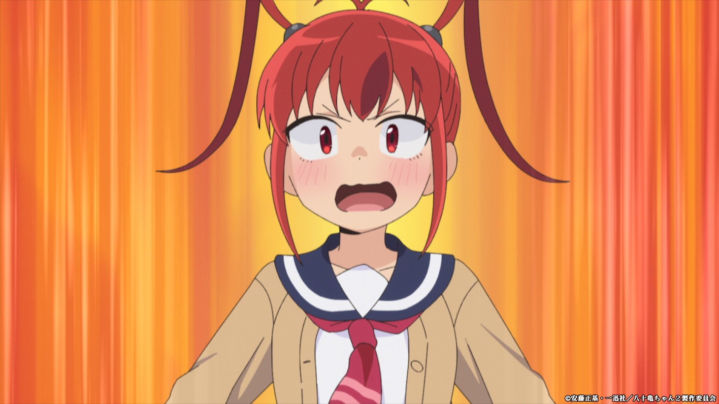 「八十亀ちゃんかんさつにっき 2さつめ」本PVより。