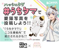 ねこのきもちとのコラボ企画バナー。