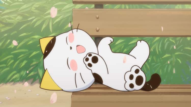 アニメ うちタマ 新pv公開 飼い主キャストに高橋未奈美 佐倉綾音ら 動画あり コミックナタリー