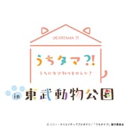 「うちタマ?! ~うちのタマ知りませんか?~in 東武動物公園」ロゴ