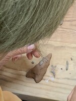 制作風景（ススだらけのサンタクロースシリーズ）