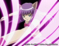 TVアニメ「東京ミュウミュウ」より。