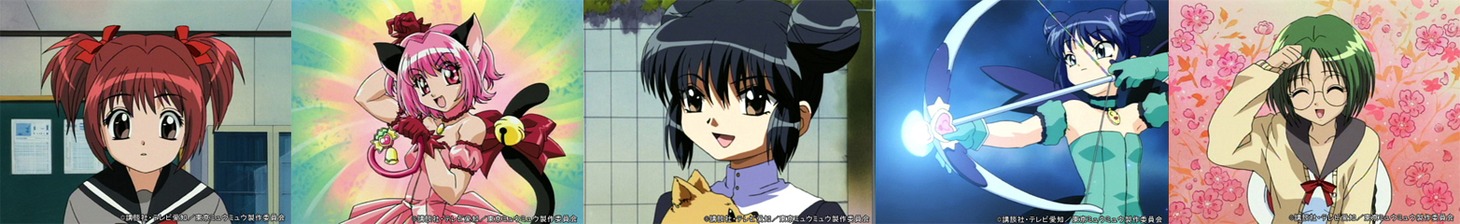 TVアニメ「東京ミュウミュウ」より。