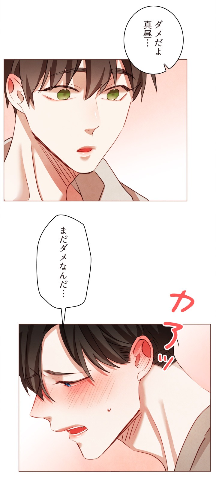 「ルームシェアしたら、全員吸血鬼だった」より。