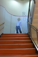 8階から屋上への階段の様子。