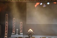 激しく踊りだすヒナガラス。