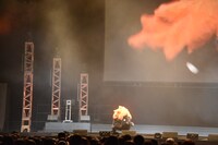 激しく踊りだすヒナガラス。