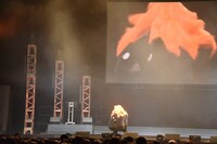 激しく踊りだすヒナガラス。