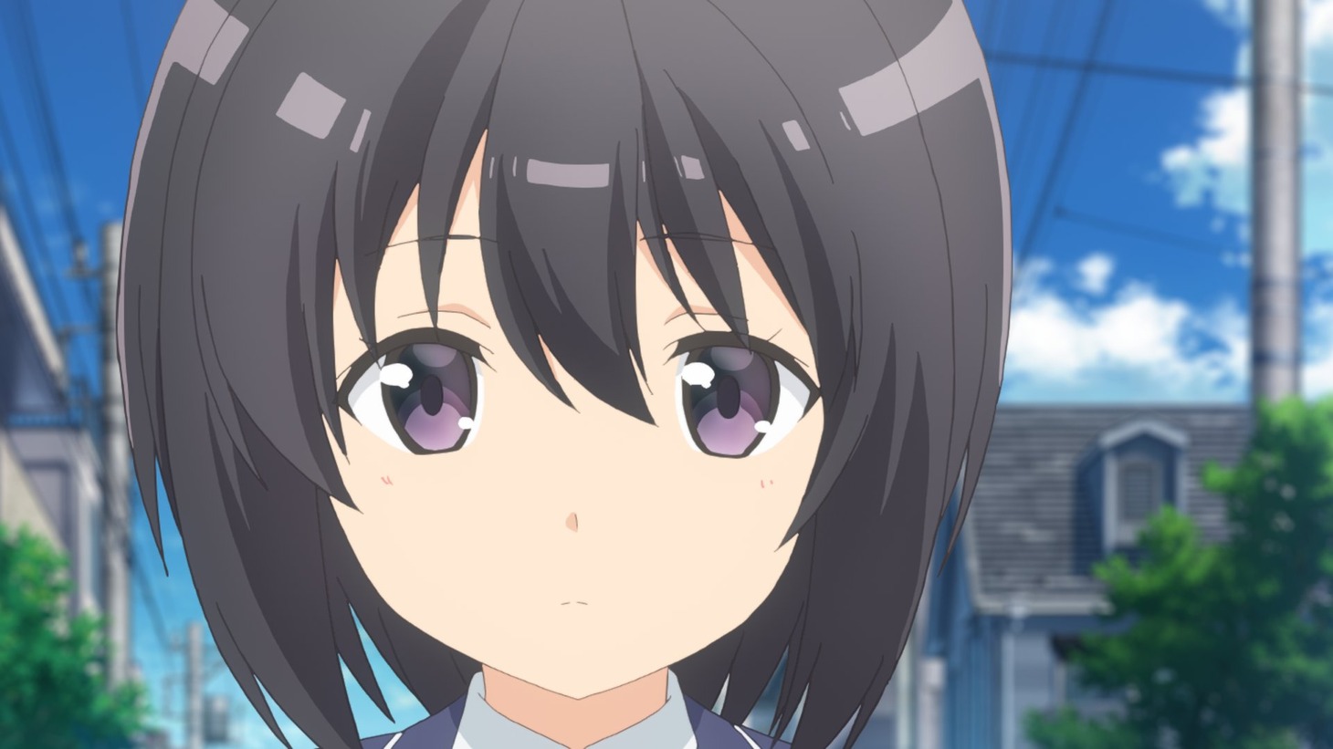 TVアニメ「痛いのは嫌なので防御力に極振りしたいと思います。」より。