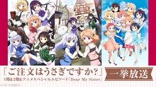 「ご注文はうさぎですか？」1期＆2期＆アニメスペシャルエピソード「Dear My Sister」一挙放送の告知画像。(c)Koi・芳文社／ご注文は製作委員会ですか？ (c)Koi・芳文社／ご注文は製作委員会ですか？？
