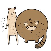 「人生がより散らかる！ 深刻お悩み相談室」カット