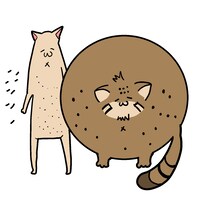 「人生がより散らかる！ 深刻お悩み相談室」カット