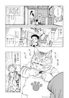 「保育猫のいなり先生」より。