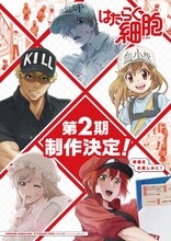 TVアニメ「はたらく細胞」第2期制作決定ビジュアル。