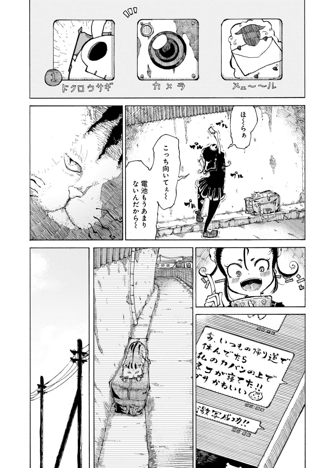 「んねこん」より。