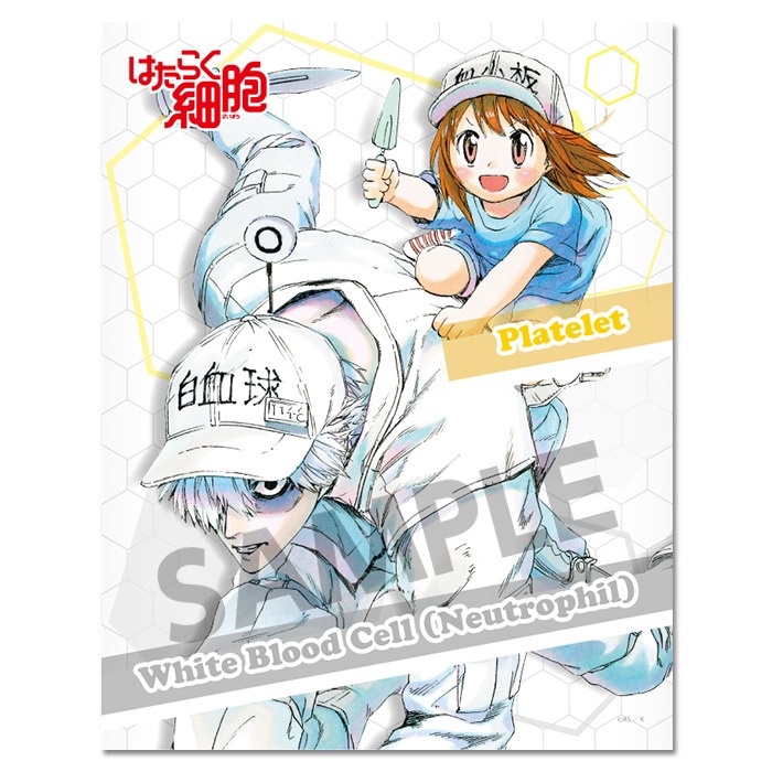 「はたらく細胞 マルチクロス 白血球（好中球）＆血小板」