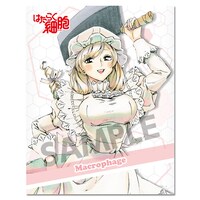 「はたらく細胞 マルチクロス マクロファージ」