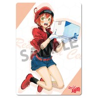 「はたらく細胞 下敷き 赤血球」