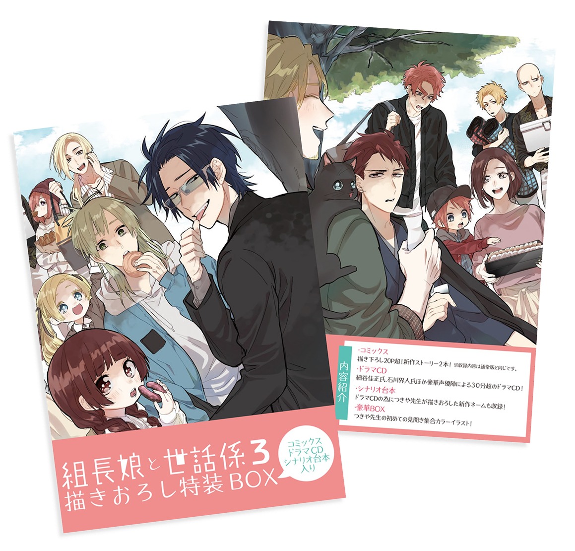 「組長娘と世話係」3巻の特装BOX。