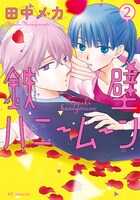 「鉄壁ハニームーン」2巻