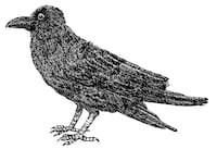 TVアニメ「イエスタデイをうたって」カラスのアイコン。