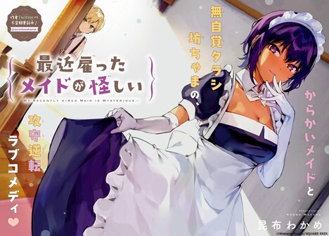 「最近雇ったメイドが怪しい」より。