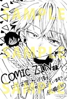 COMIC ZIN特典