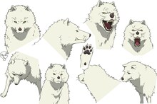 ジョアンのキャラクターデザイン。(c)大今良時・講談社／NHK ・NEP