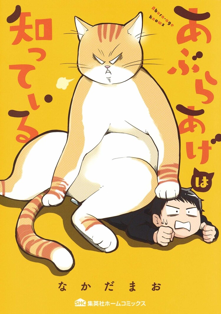 猫アレルギーの高校生がブサ猫と期間限定の共同生活 あぶらあげは知っている コミックナタリー 猫アレルギーの高校生がブサ猫と期間限定の共同生活 あぶらあげは知っている コミックナタリー