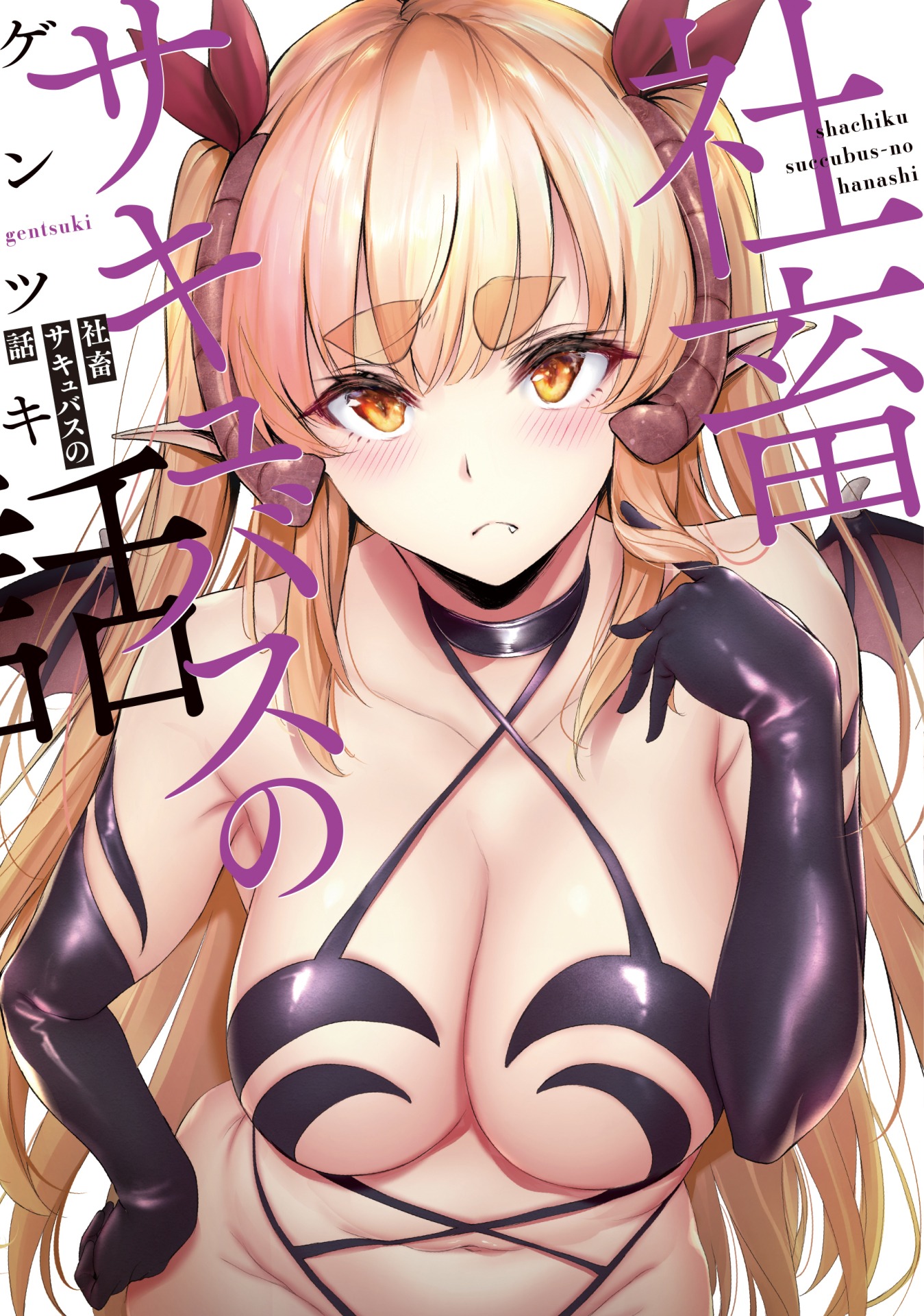 「社畜サキュバスの話」