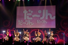 純情のアフィリア