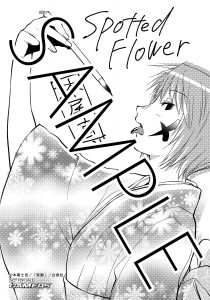 ゲーマーズ特典