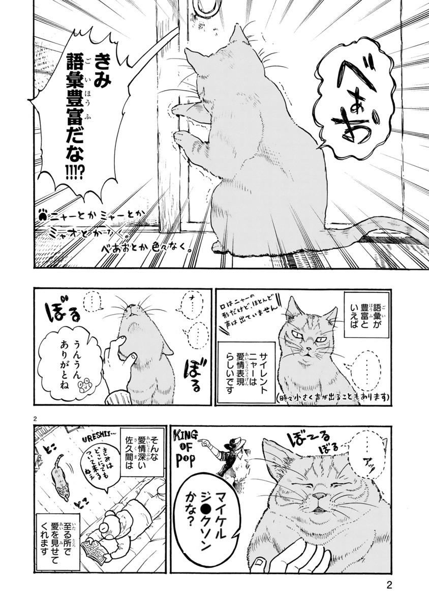 「猫と、新発見!!!」より。