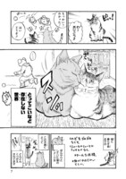 「猫と、新発見!!!」より。