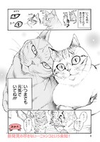 「猫と、新発見!!!」より。