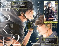 「澪つくし」2巻告知画像