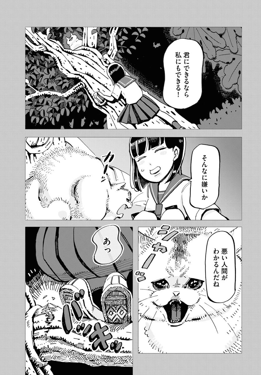 「彼女と彼氏の明るい未来」より。