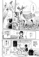 「北海道いきもの紀行」より。