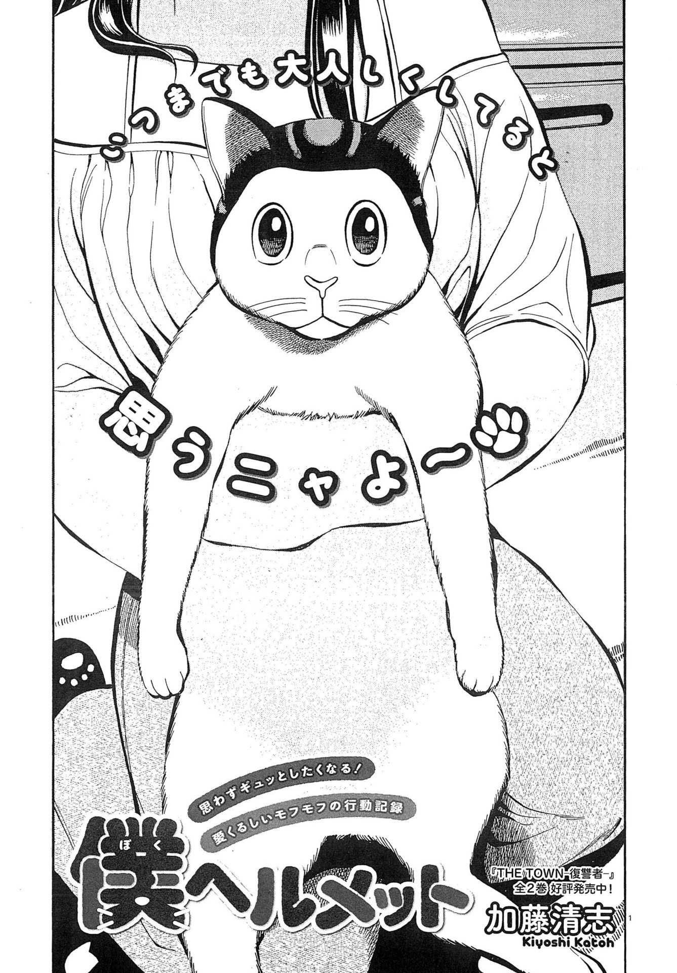 加藤清志「僕 ヘルメット」より。