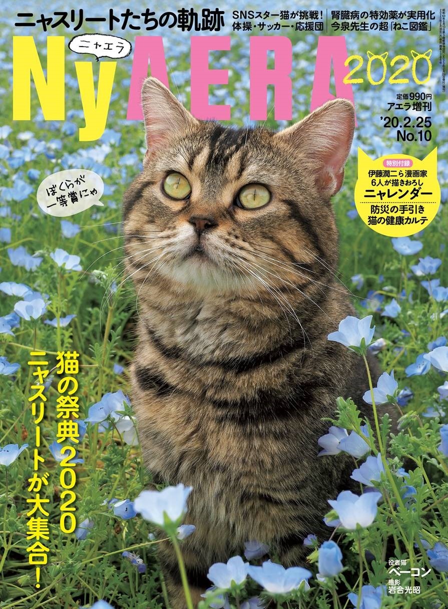NyAERA2020