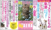 NyAERA2020の告知画像。