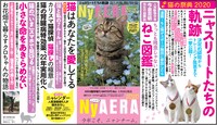 NyAERA2020の告知画像。
