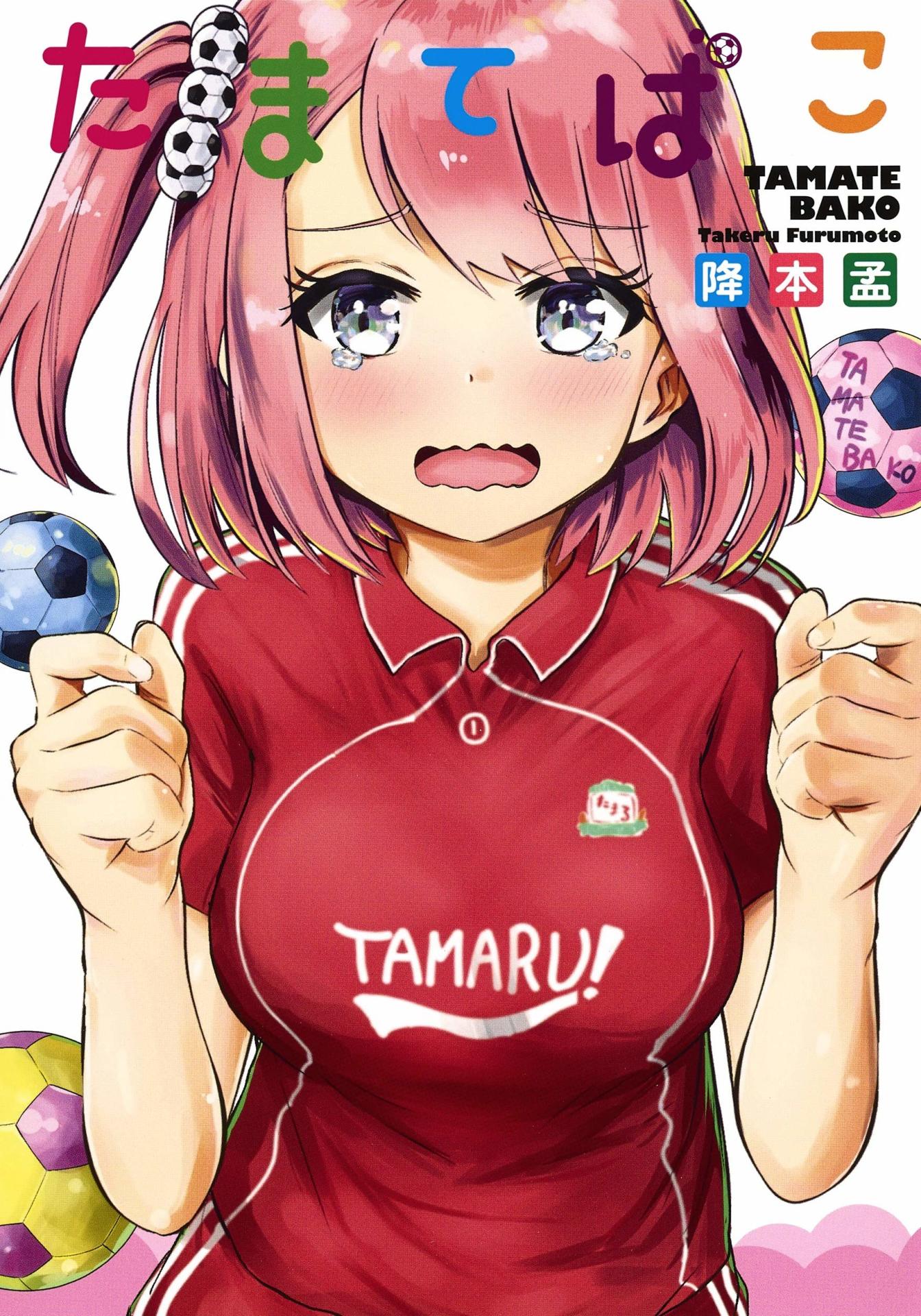 「たまてばこ」