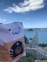 「リバーシルブルトートバッグ」