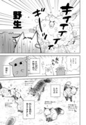 「キツネ村へ行ってきました。」より。