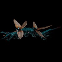 「タケヤ式自在置物 風の谷のナウシカ 大王ヤンマ」