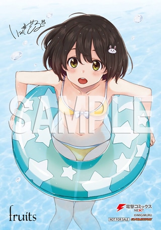 画集のゲーマーズ特典ブロマイド。