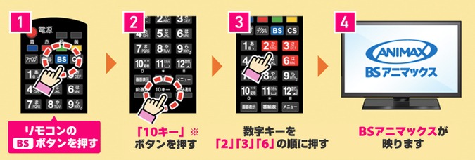 アニマックスの視聴方法。
